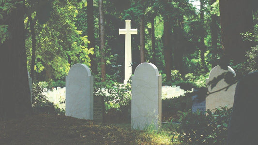 Direct Burial vs Traditional Burial: Key Differences, Costs, Process & How to Choose